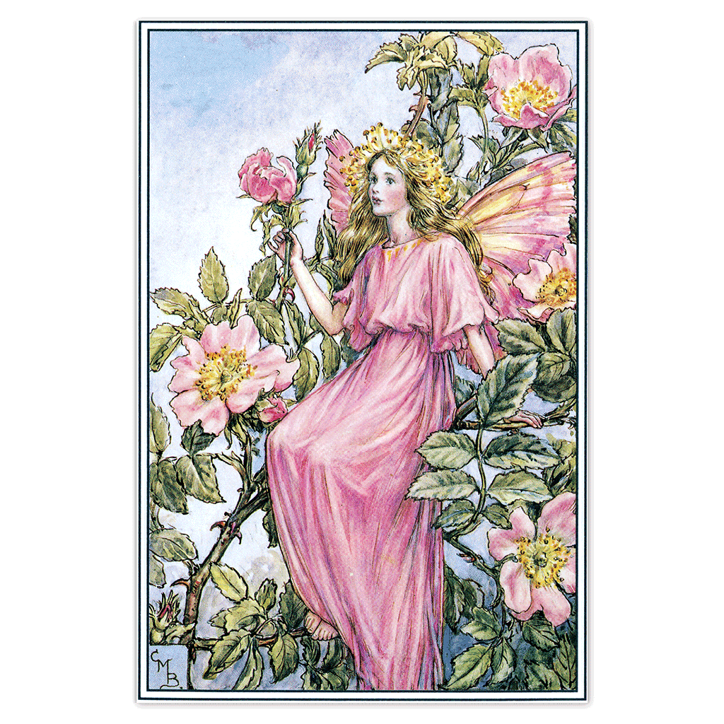 Laughing Elephant – Großhandel Postkarten-Set – Blumenfeen – Alltagliche Postkarten im Set16