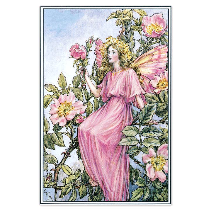 Laughing Elephant – Großhandel Postkarten-Set – Blumenfeen – Alltagliche Postkarten im Set16