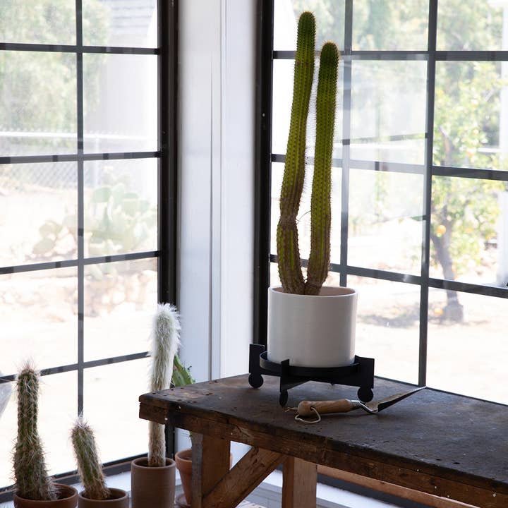 Upton - Wholesale Plant Pot Stand - BAL - Black | Plant Stand2