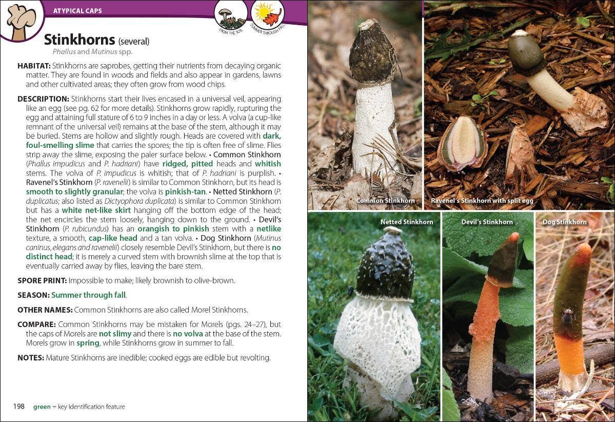 AdventureKEEN - Wholesale Nature & Outdoors - Mushrooms of Upper Midwest 2e3