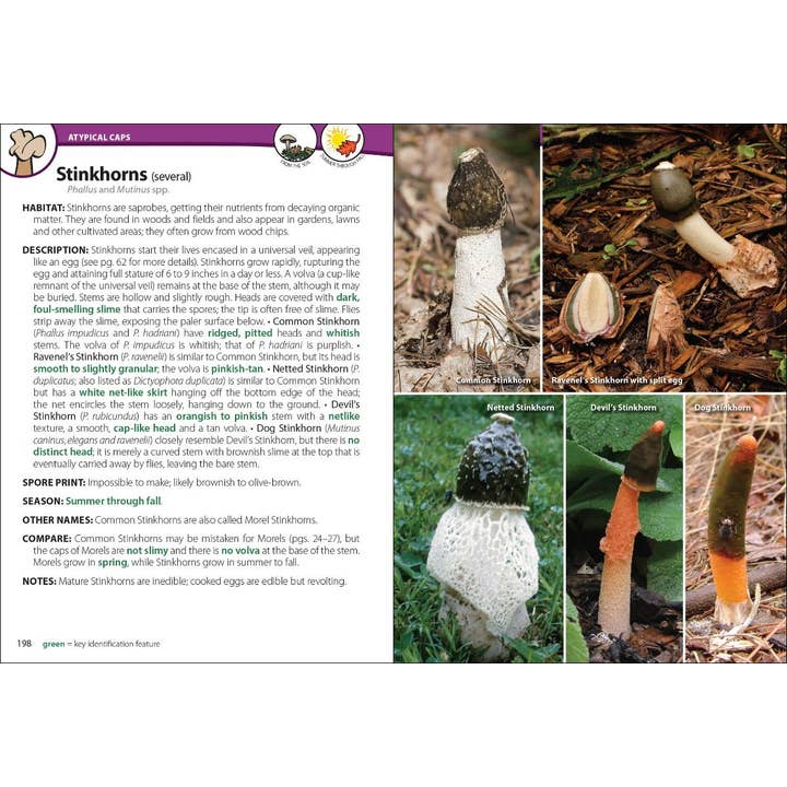 AdventureKEEN - Wholesale Nature & Outdoors - Mushrooms of Upper Midwest 2e3