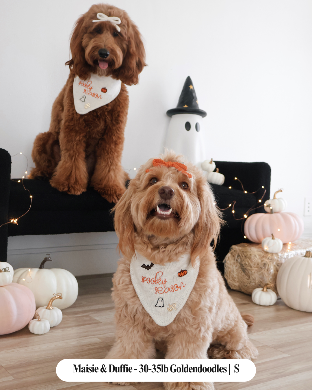 The Deluxe Pup - Wholesale Pet Bandana - Dog - BANDANA | SPOOKY SEASON5