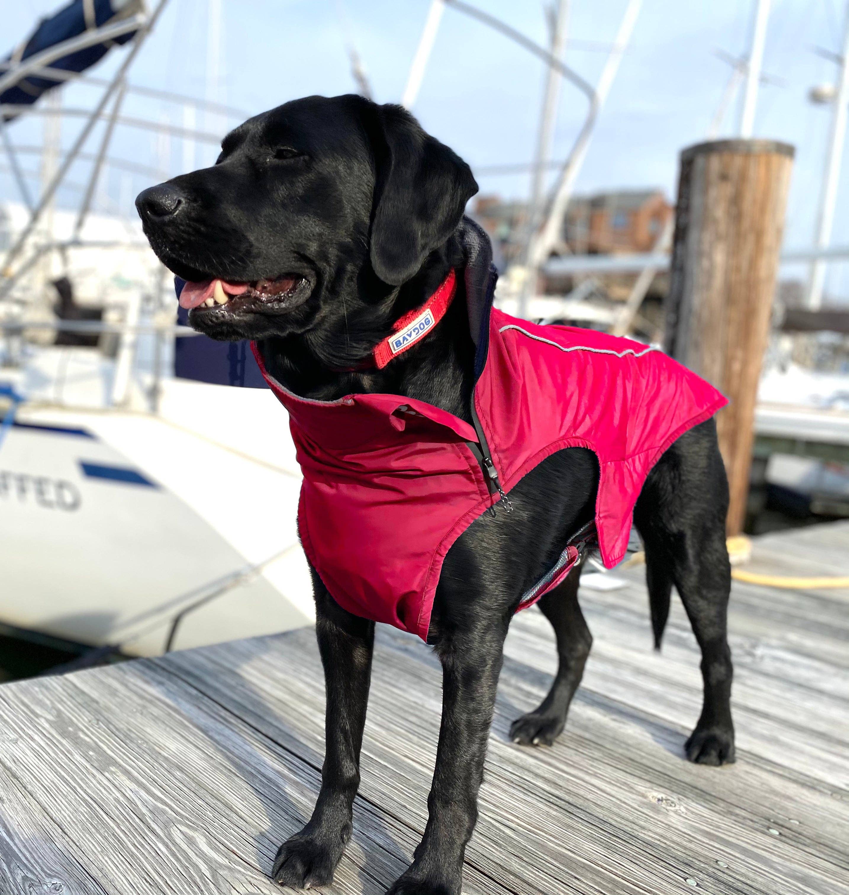 BAYDOG - Wholesale Hondenjack - Hond - Narragansett Bay hondenjack voor zeilhonden3