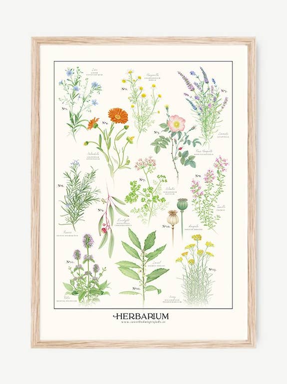 Herbarium Decorative Film for wholesale by Save the date projects