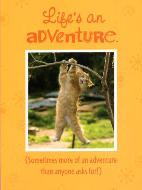 Friendship Encouragement Humorous | GRTC | SM | 42262L for wholesale by DICKENS INC.