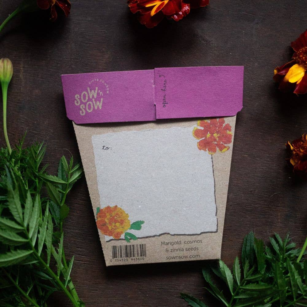 Sow 'n Sow - Wholesale Plant Seeds - Thanks a Bunch Gift of Seeds3