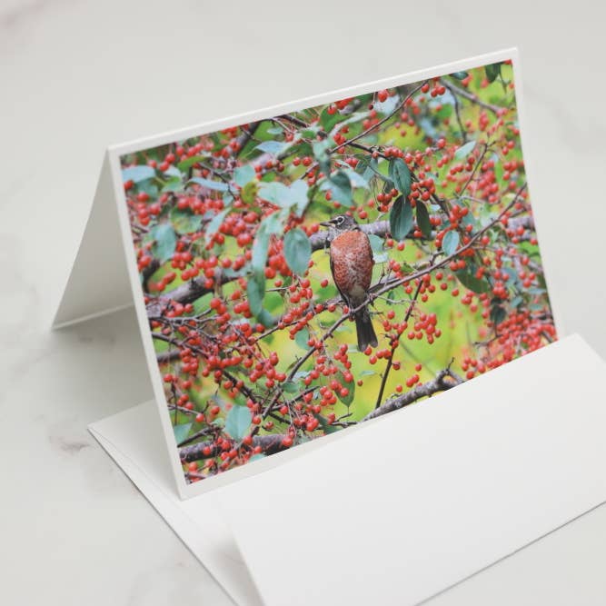 New England Prints - Wholesale Stationery/Notecard Set - Box of 5 All Occasion Majestic Bird Blank Note Cards2