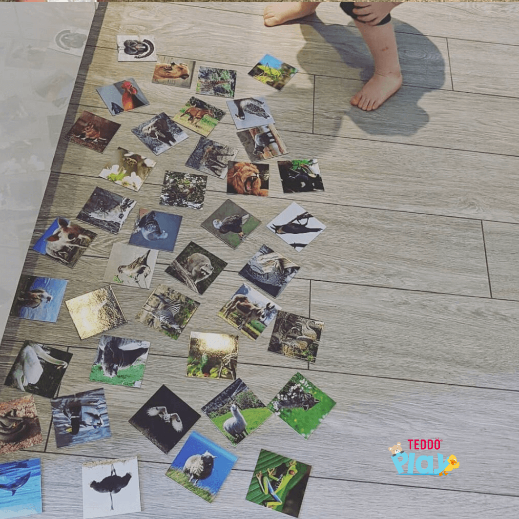 Teddo Play – Großhandel Lernkarten – Kind & Baby – Animal Sounds & Noises Pädagogische Geschenke für Kinder +Werbegeschenke12