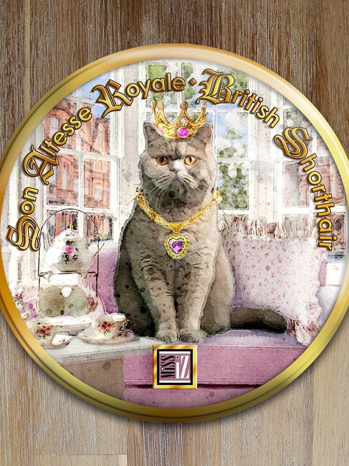 Espelho de bolso > Gato: BRITISH SHORTHAIR por atacado de Miss Iz