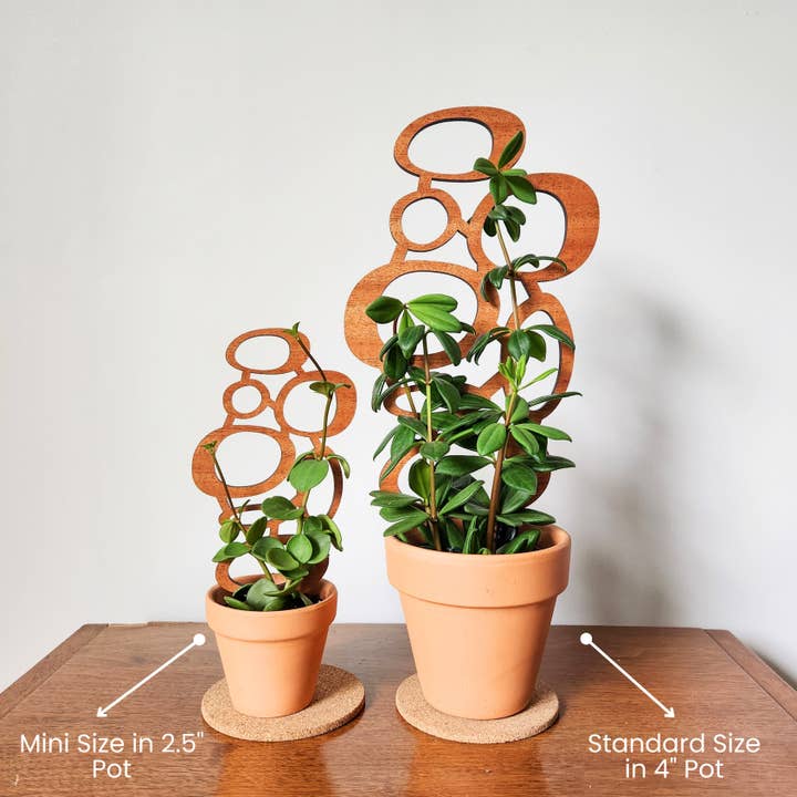 Leaf & Node - Wholesale Trellis - MCM Style Wood Indoor Plant Trellis (Circles - 2 Sizes)