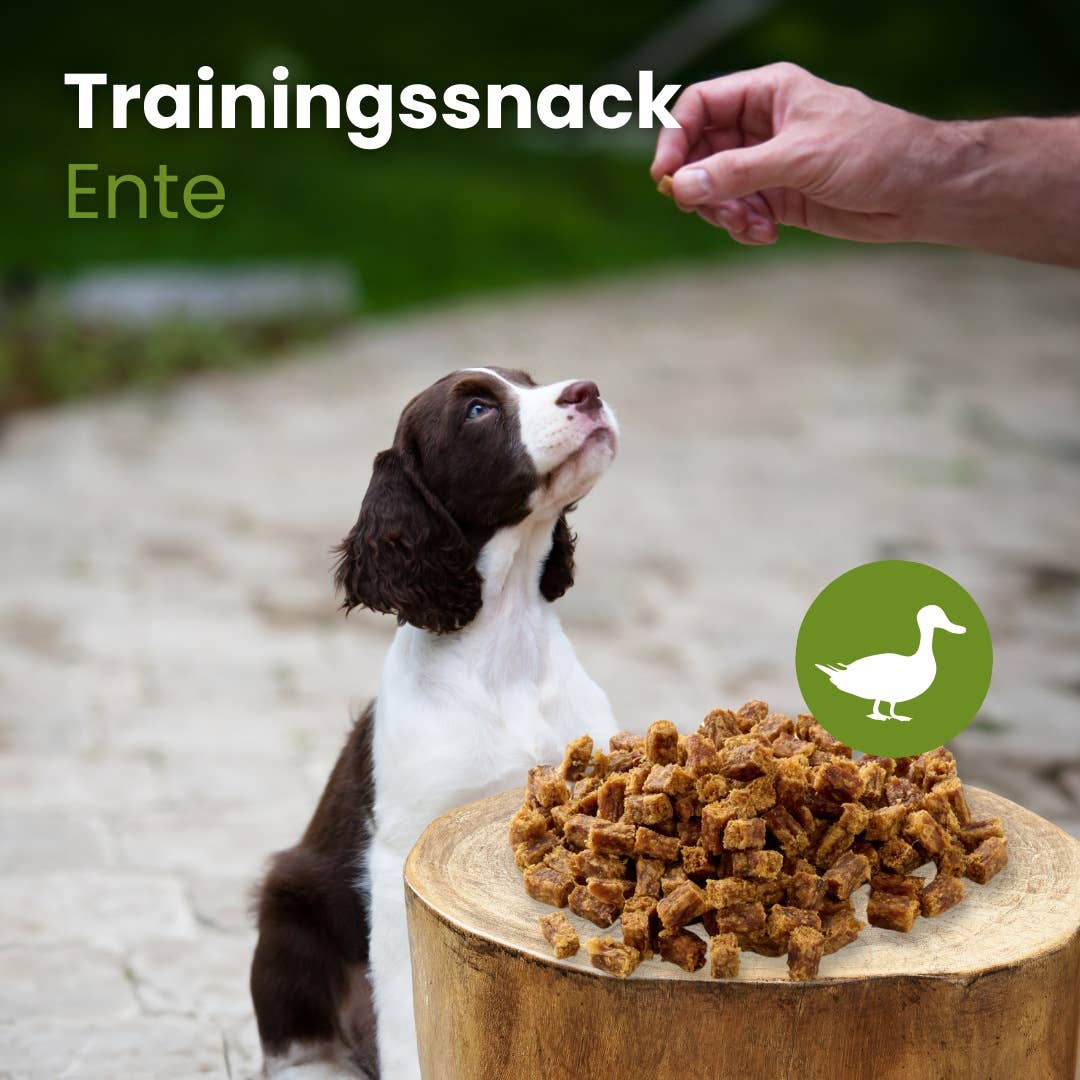 Kauartikel.com GmbH – wholesale Godis - Hund – Träningssnack Anka2