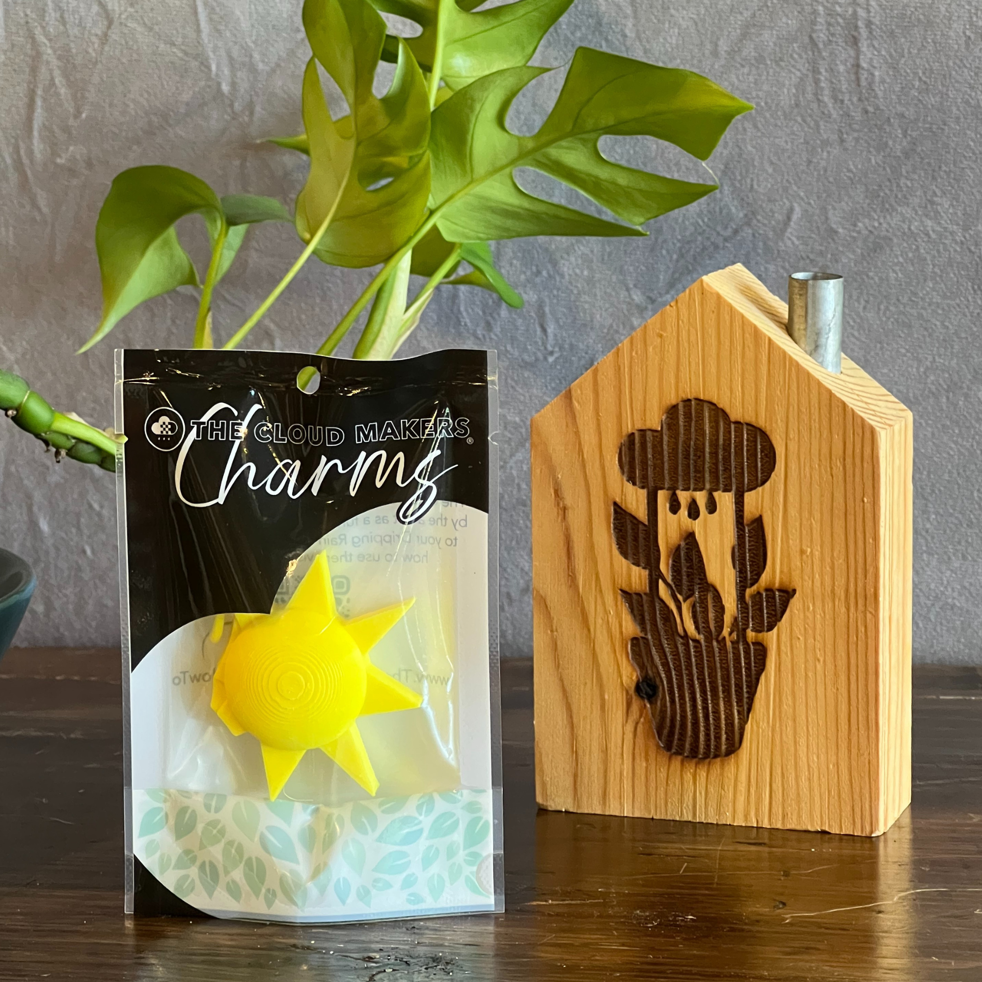 The Cloud Makers - Wholesale Plant Pot - Sun Charm for Dripping Rain Clouds1