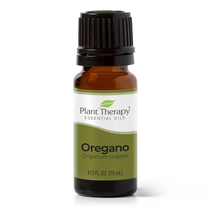 Plant Therapy - Wholesale Essential Oil - Oregano Essential Oil 10 mL