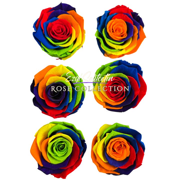 Handcrafted Preserved Roses 6.5 cm Diameter | Non Toxic | 6 Pack | Excellent for All Events and Organizations | by Ezgi Sertcetin for wholesale by Ezgi Sertcetin