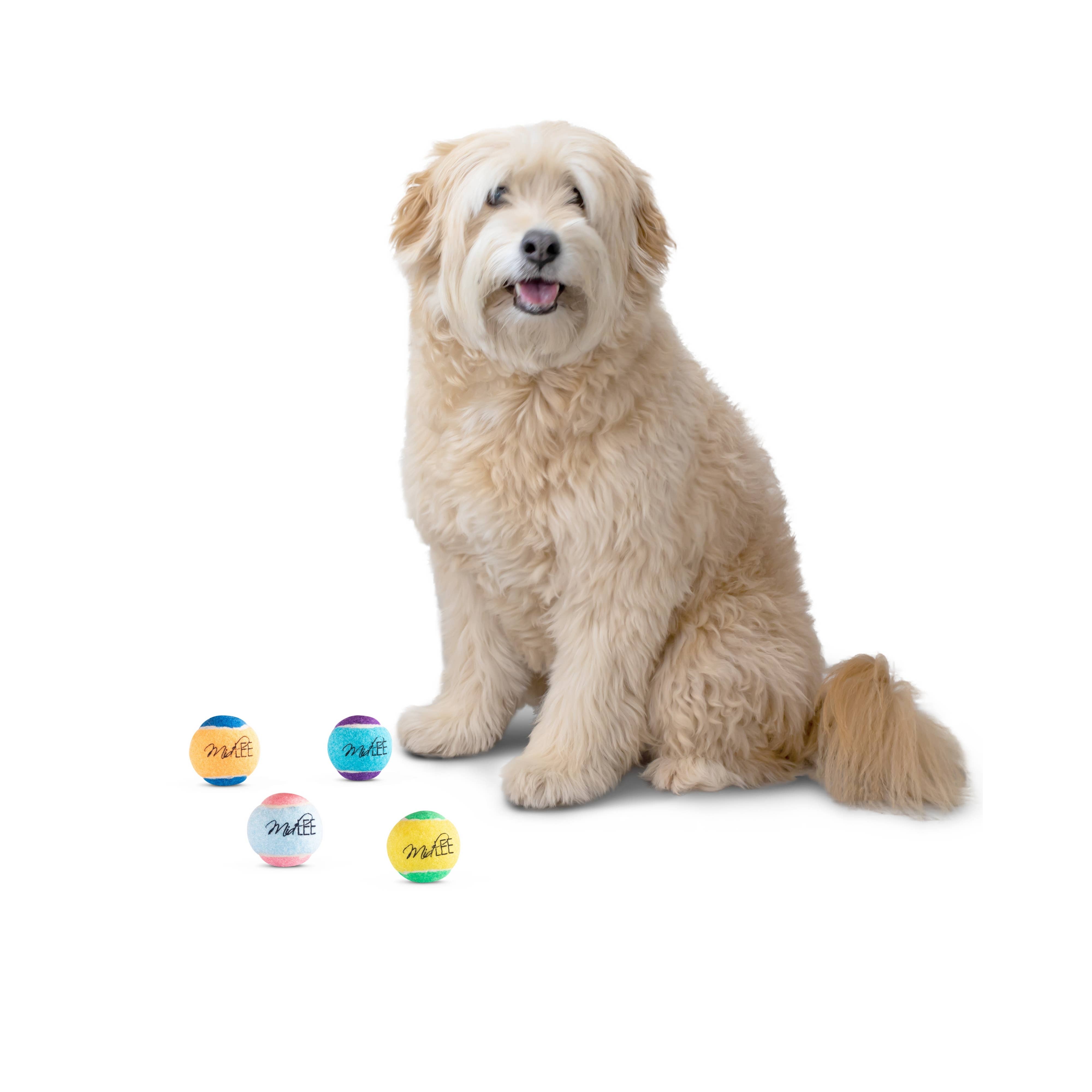 Midlee Designs - Wholesale Pet Fetch Ball - Dog - Midlee X-Small Dog Tennis Balls 1.5" - 12 Pack (Assorted)2