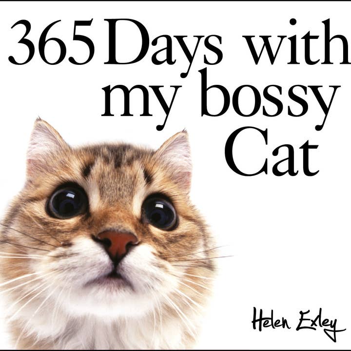 National Book Network - Wholesale Book - Adult - 365 Days With My Bossy Cat