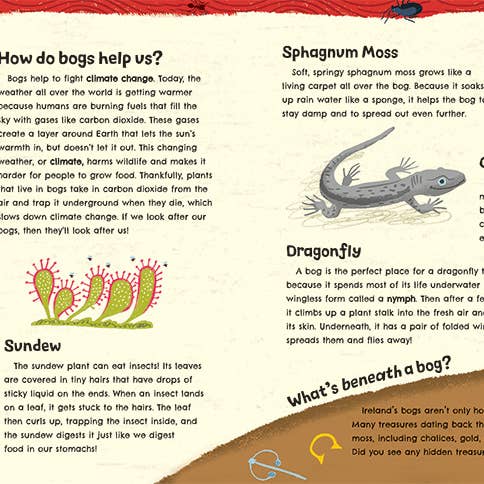 Barefoot Books CA - Wholesale Book - Kids - The Rattlin' Bog