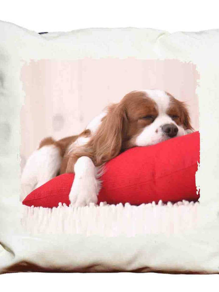 Coussin décoratif Chiot pour la vente par DB GROUP SRL