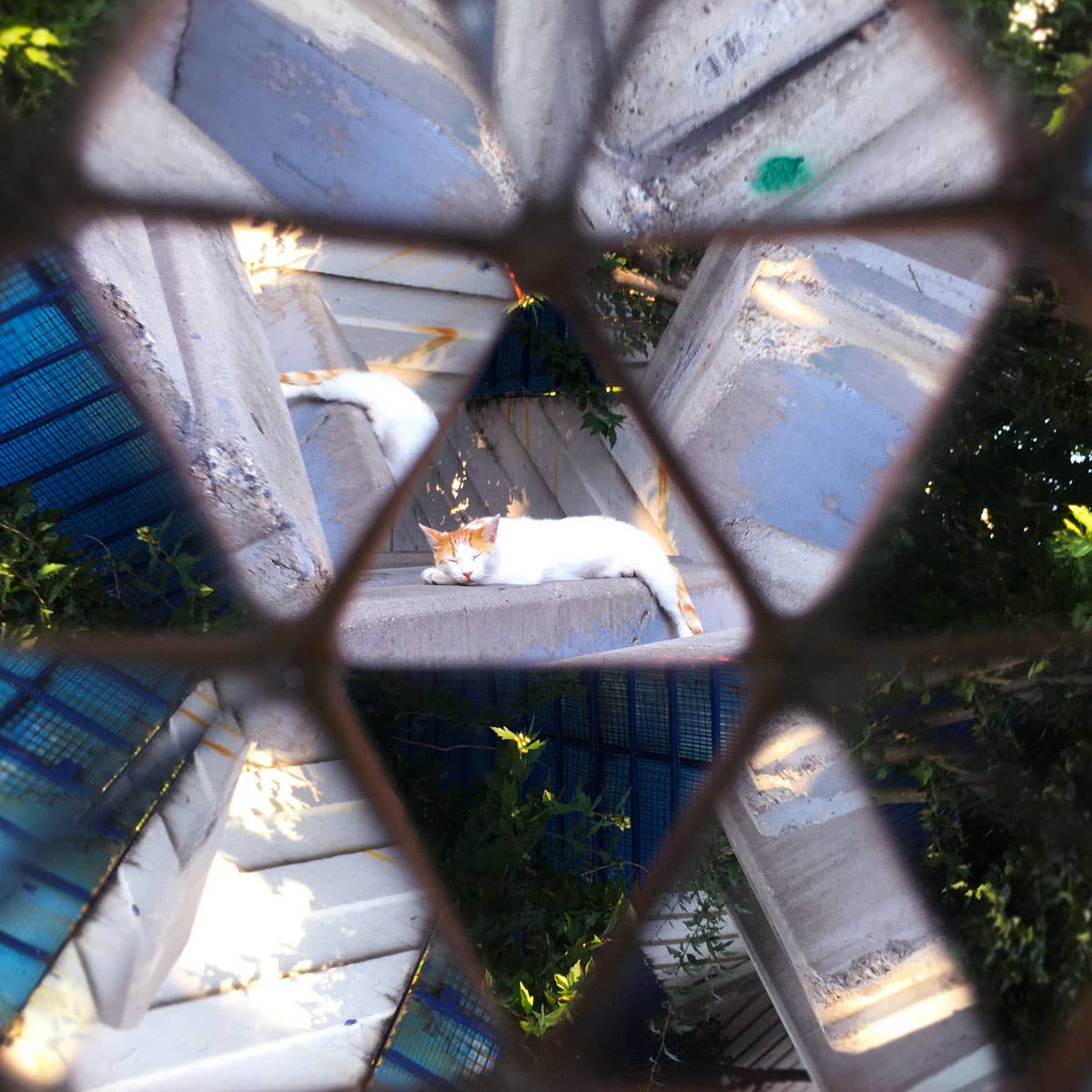 Bitti Gitti Design Workshop - Wholesale Decorative Tabletop Object - the Wooden Kaleidoscope7