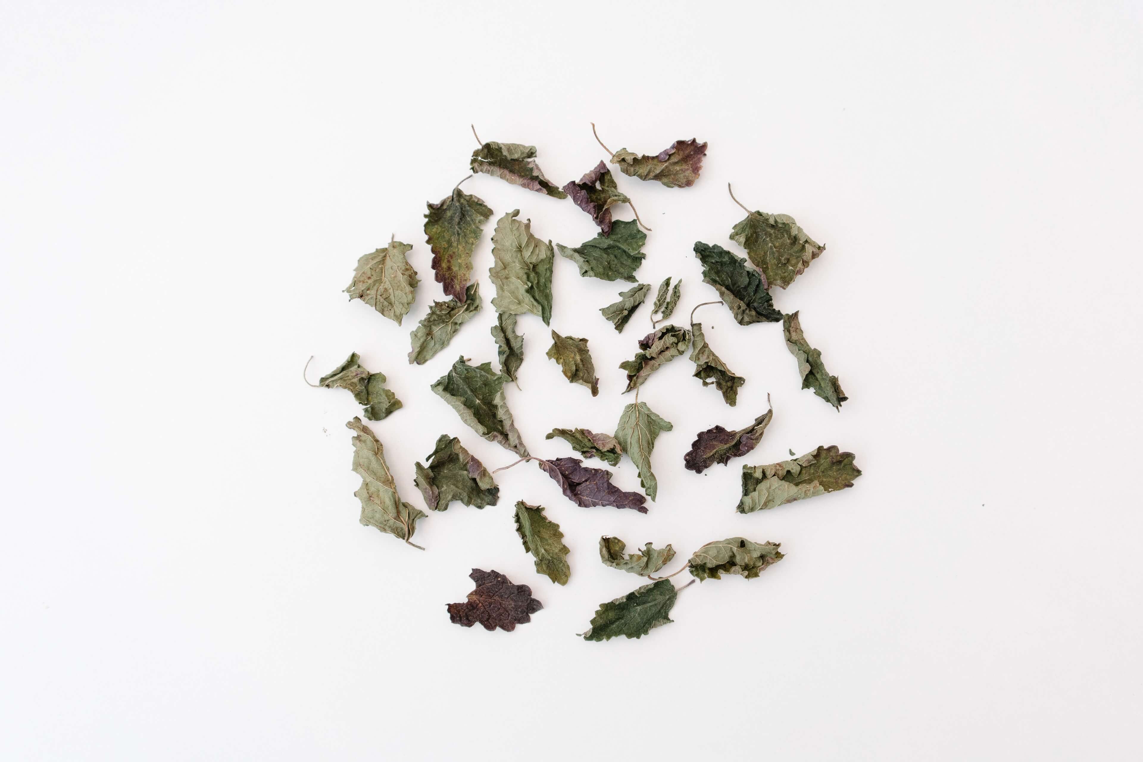 rhoeco - fine organic goods - Wholesale Tea Bags - Monovarietal Herbal Teas [Bio] - Compostable Pyramid Teabags6