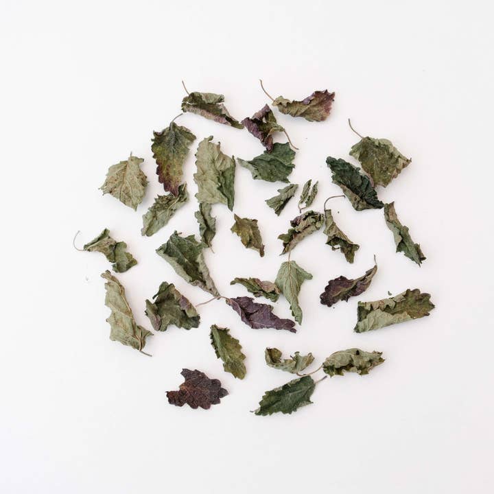 rhoeco - fine organic goods – Großhandel Teebeutel – Monovarietale Bio-Kräutertees – Kompostierbare Pyramiden-Teebeutel6