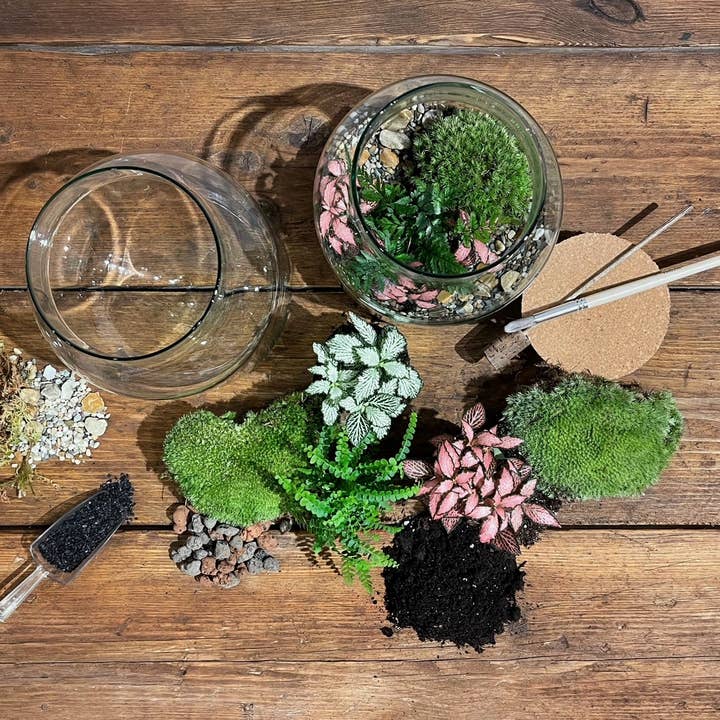 Botanical Boys - Wholesale DIY craft kit - Globe Terrarium Kit - Medium3