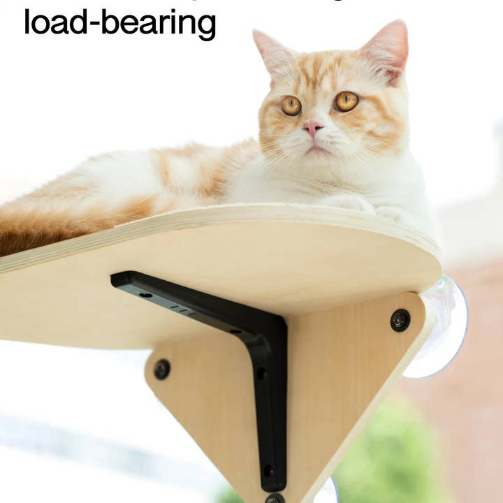 Robud & Mewoofun Official Store - Wholesale Pet Scratcher - Cat - MEWOOFUN Cotton Cat Window Bed Jumping Climbing Platform Cat5