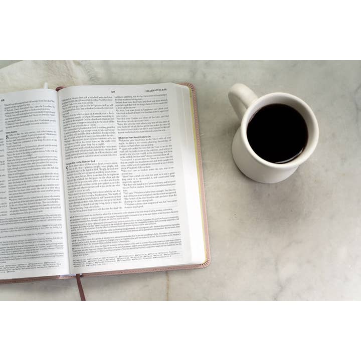 Barbour Publishing, Inc. - Wholesale Book - Adult - Light for Life NASB Study Bible (Blush Bouquet)