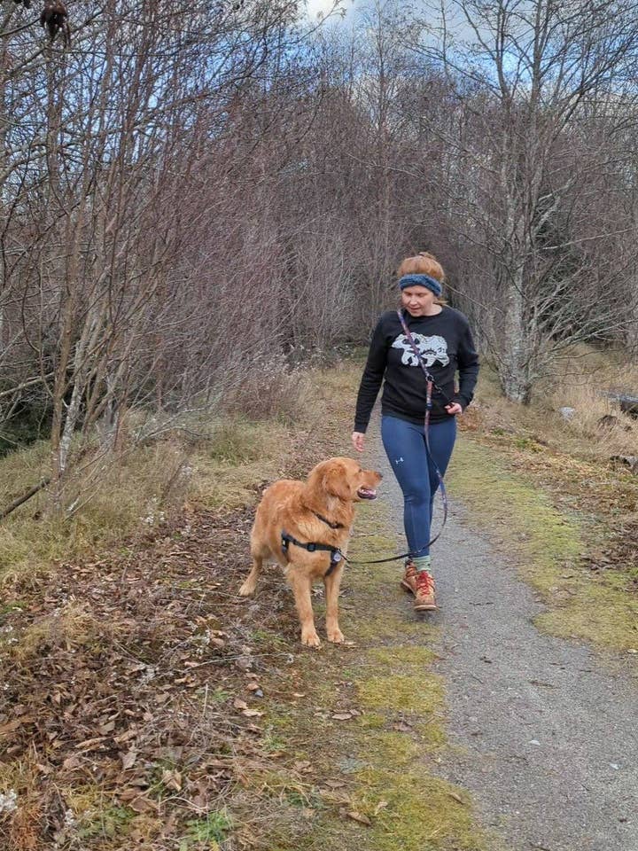 Laisse mains libres étanche pour la vente par woof and stuff