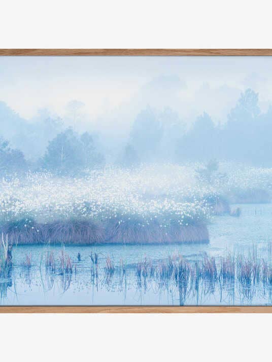 Blaue Stunde im Moor für den Großhandel von Pictufy Wholesale