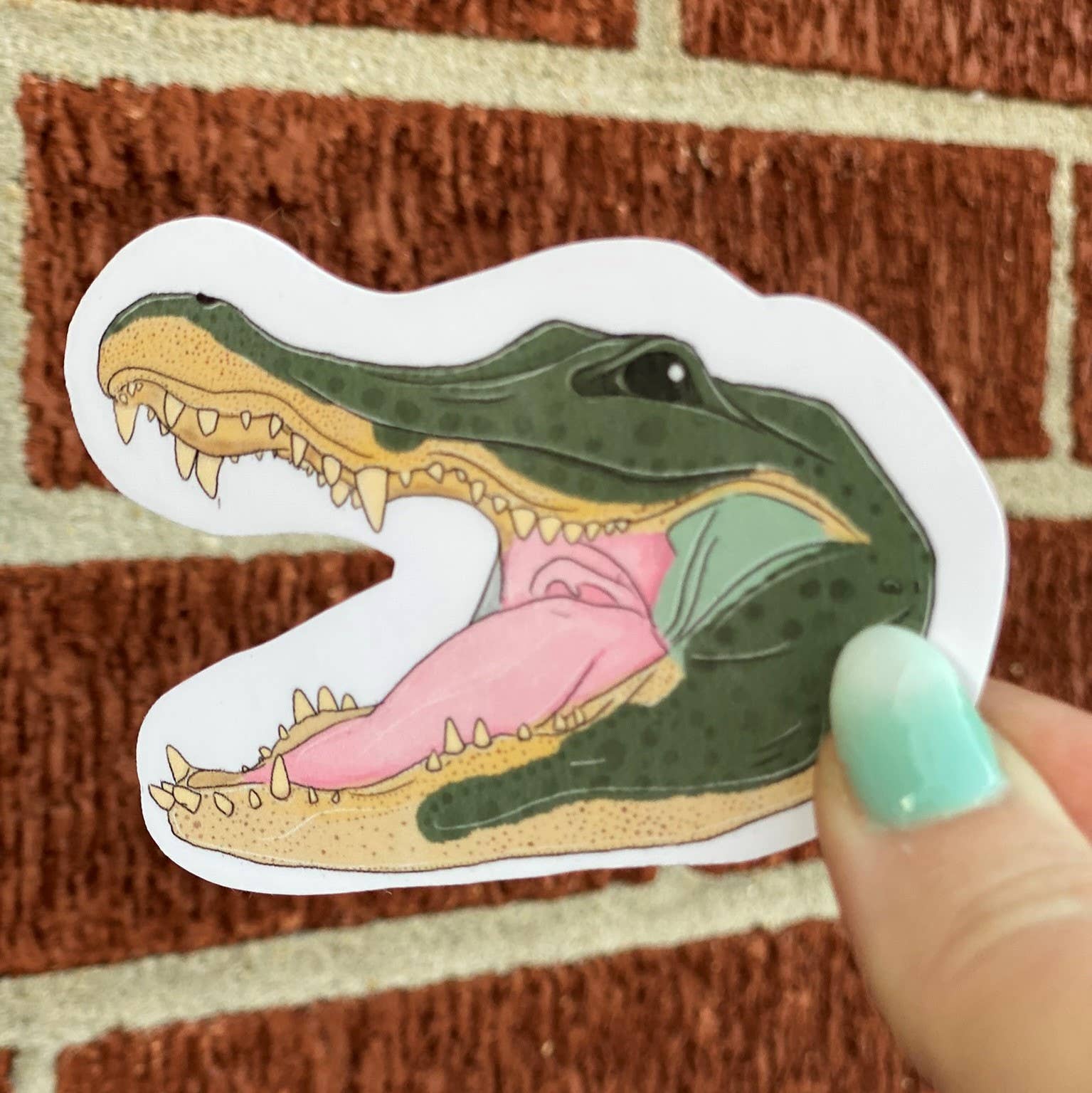 the weird emporium - Vente Autocollant - Autocollant Alligator 3 »1