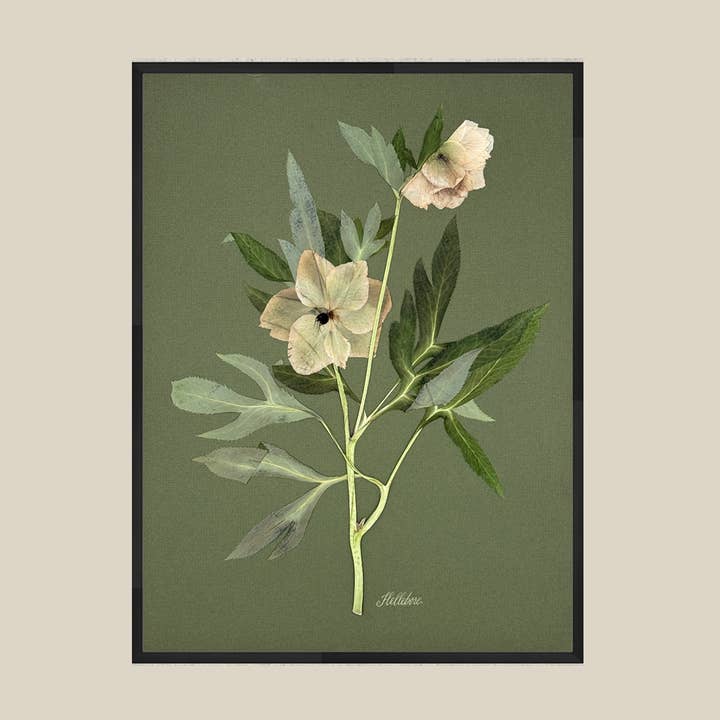 The Fleur De Lis House – wholesale Sculpture – One-of-a-kind real pressed hellebore on green wall art