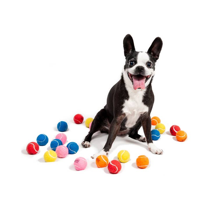 Midlee Designs - Wholesale Pet Fetch Ball - Dog - Midlee Mini Dog Tennis Balls Bulk 25-Pack (Assorted Colors)1