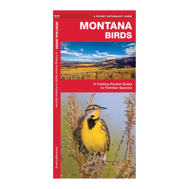 Waterford Press - Wholesale Nature Guide - Montana Birds Nature Guide
