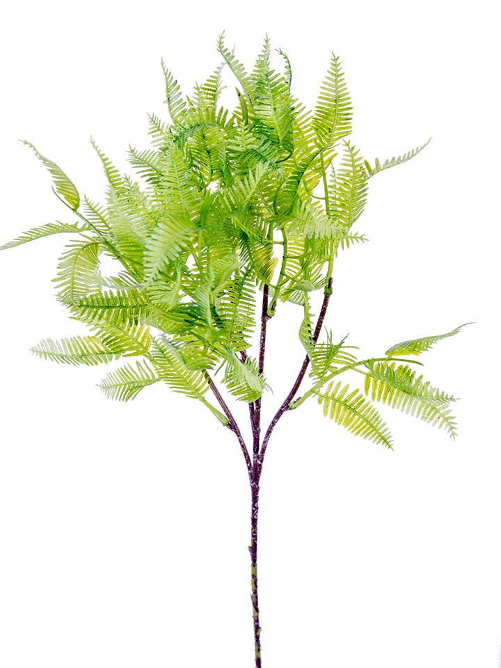 21" BOSTON FERN SPRAY for wholesale by American Best