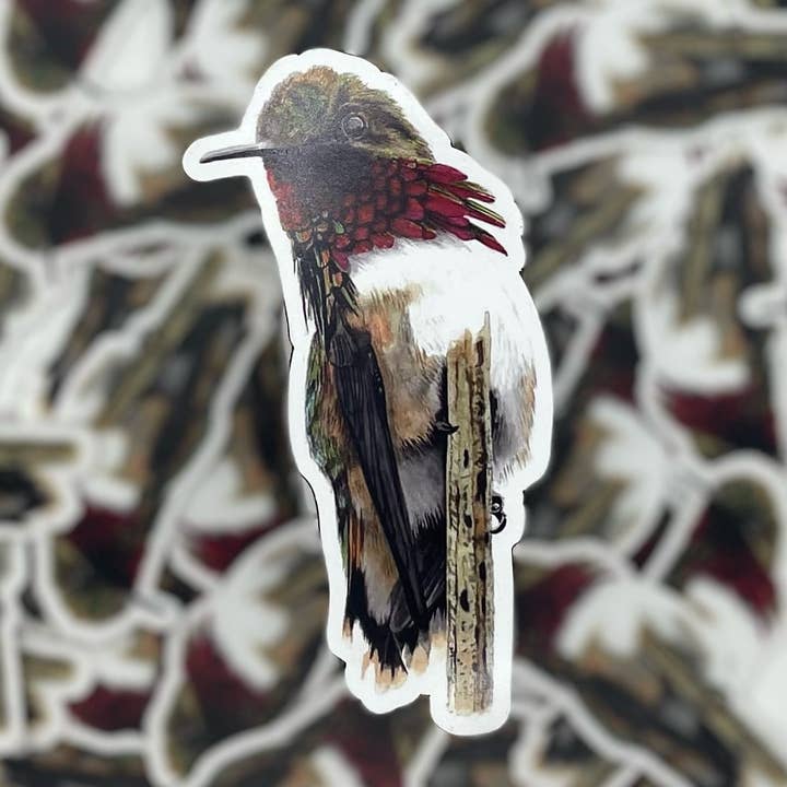 Bird Art by KB – Engroshandel Magnet – Annas kolibri - Magnet
