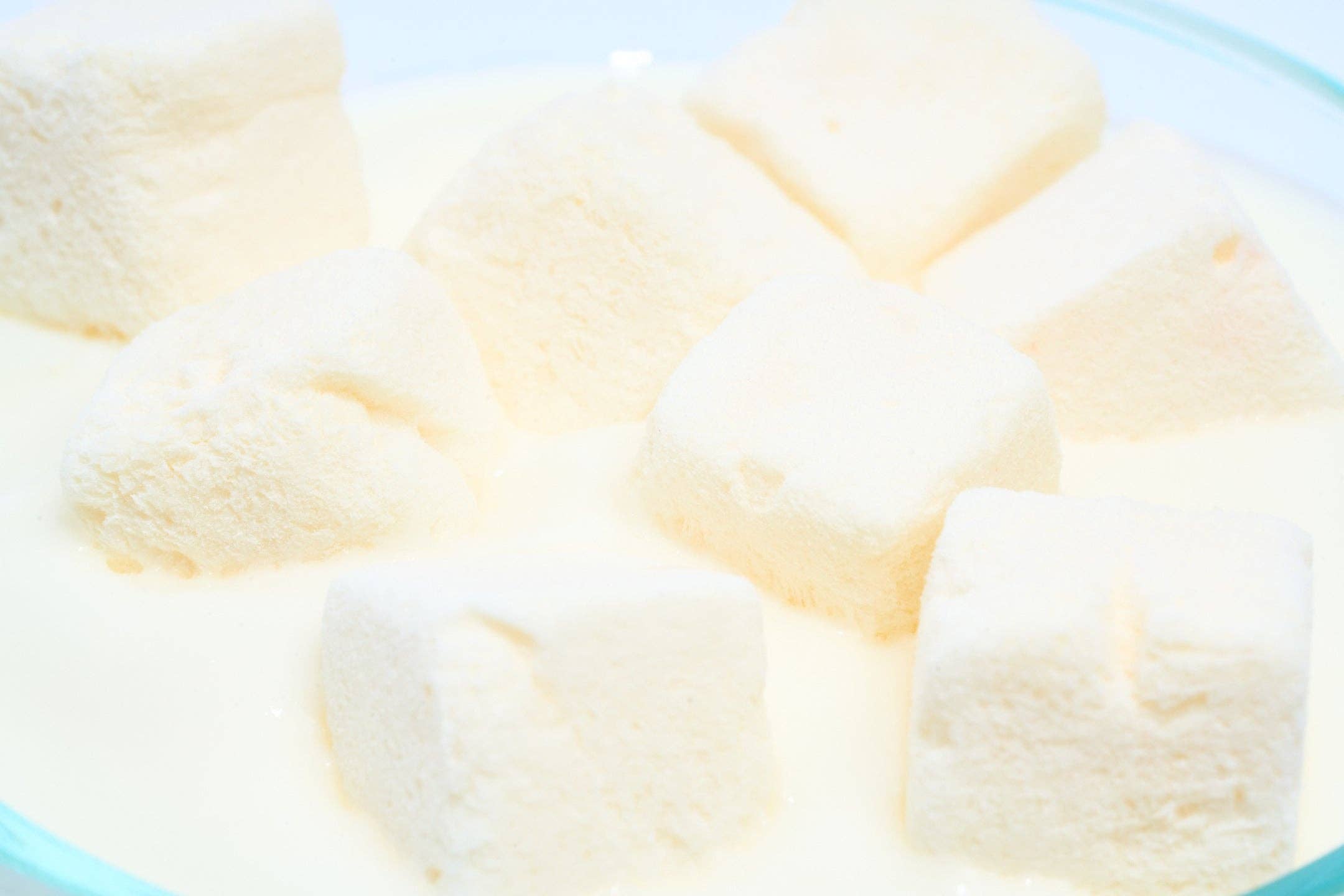 Wagging Bum – wholesale Pet treats – Dog – ANYTIME YOGURT! Freeze-dried Plain Greek Yogurt2