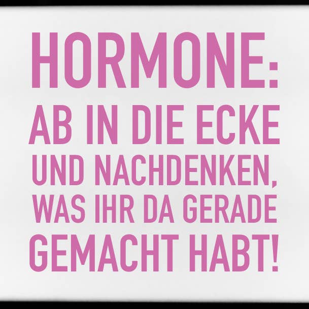 Magnet, 79 x 53mm, HORMONE: GO TO THE CORNER AND THINK ABOUT WHAT YOU'VE JUST DONE! for wholesale by 17;30