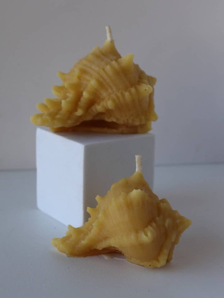 Seashell Beeswax Candle for wholesale by Jewitches