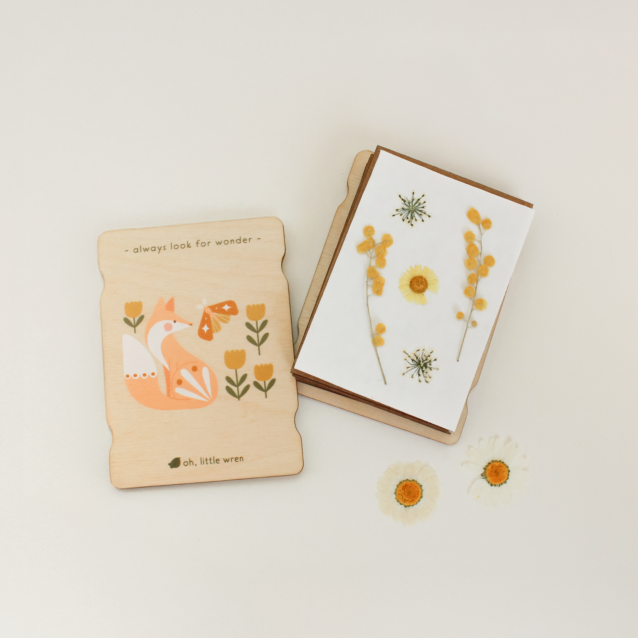 oh, little wren - Wholesale DIY Craft Kit - Kids - Little Nature Press - Mini Wooden Flower Press - Fox Design1