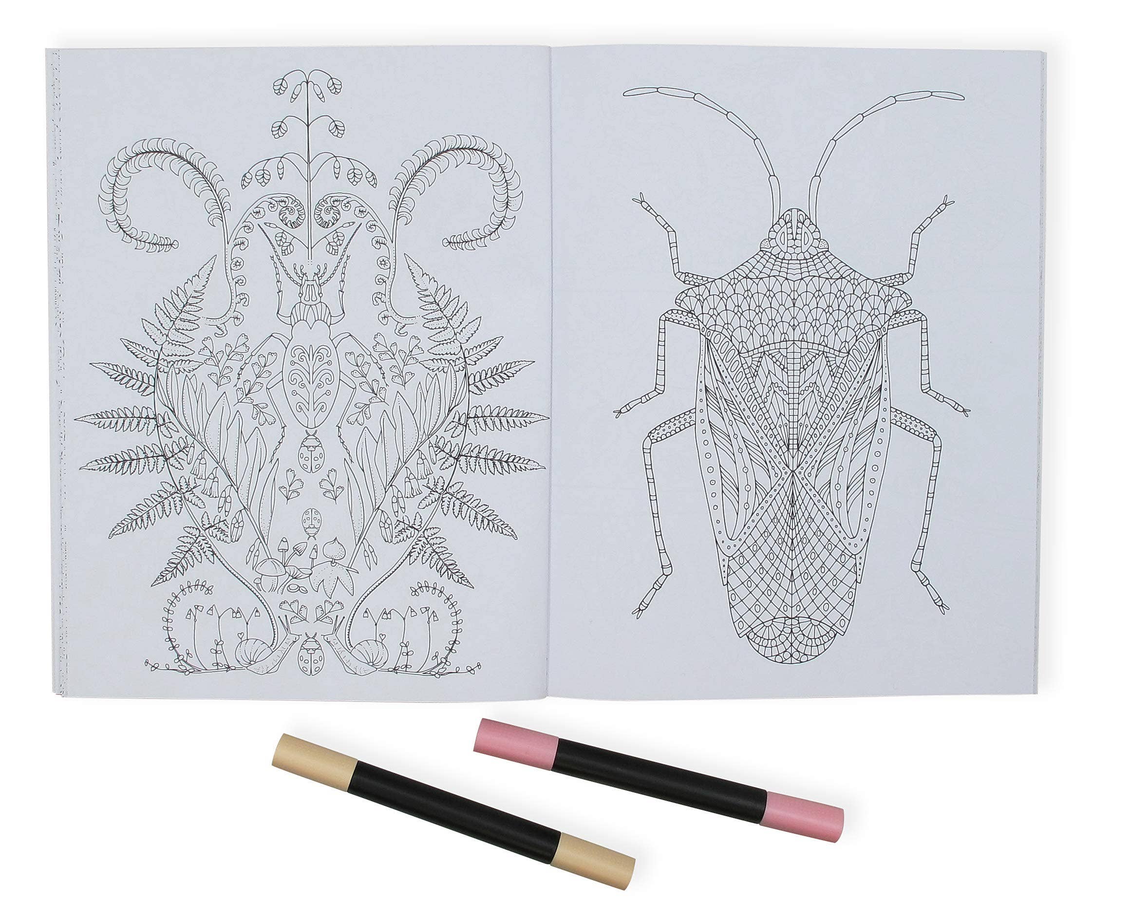 SCB - Wholesale Coloring & Activity Book - Adult - Wonderful Insects Coloring Book4