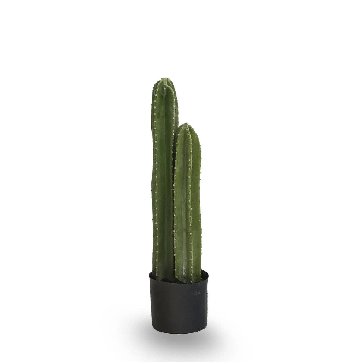 Maia Shop: No Duties for the US - Wholesale Artificial Plant - 2.5' Cactus Artificial Plant1