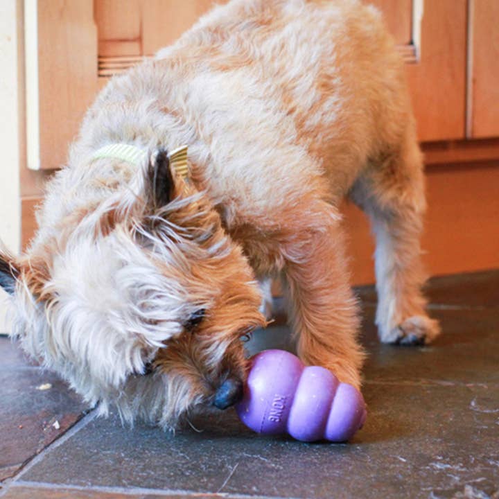 Pet Palette Distribution - Wholesale Pet Chew Toy - Dog - KONG® Senior Dog Chew Toy Small