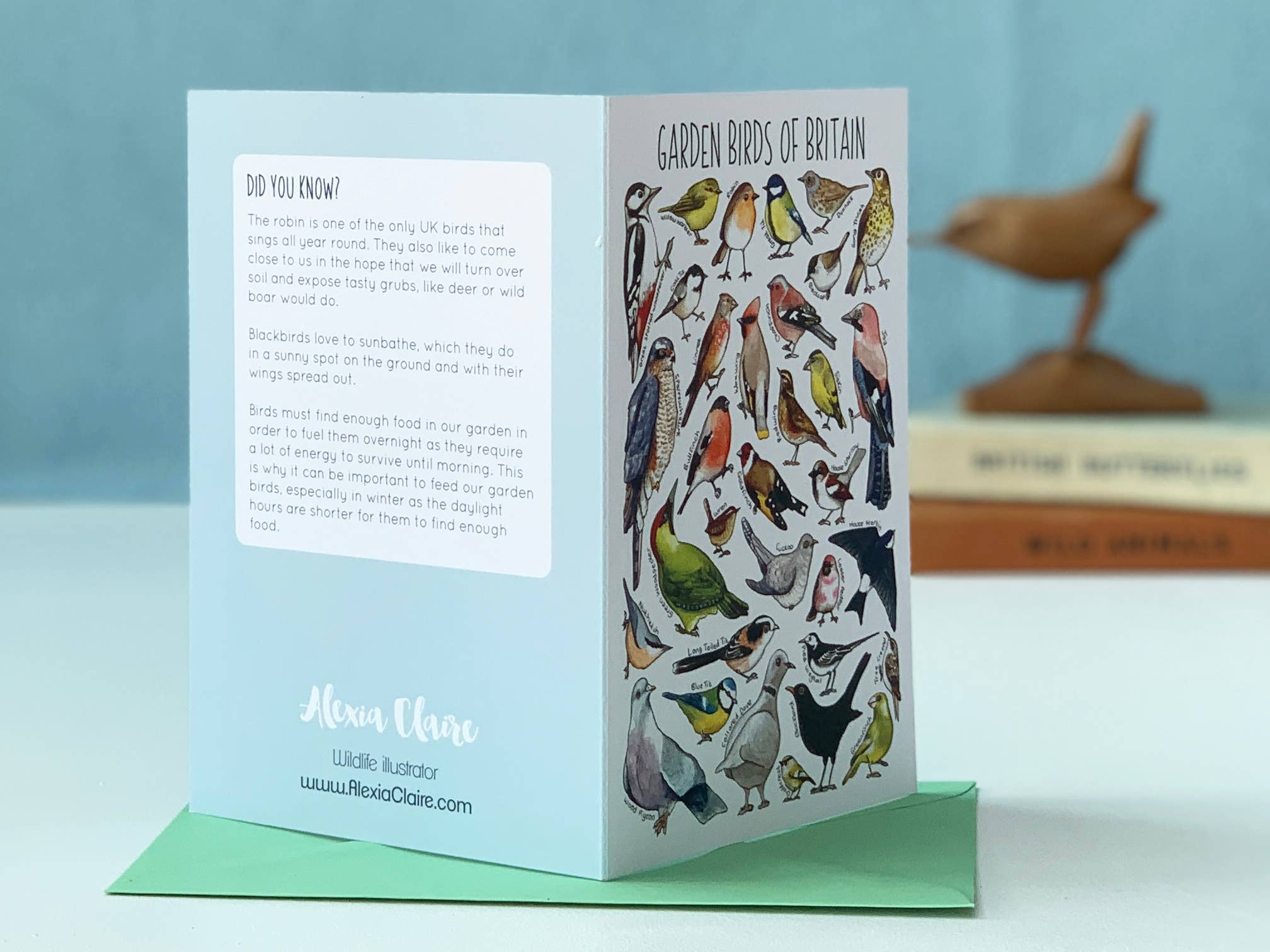 Alexia Claire Ltd - Wholesale Everyday Greeting Card - Garden Birds of Britain Art Blank Greeting Card1