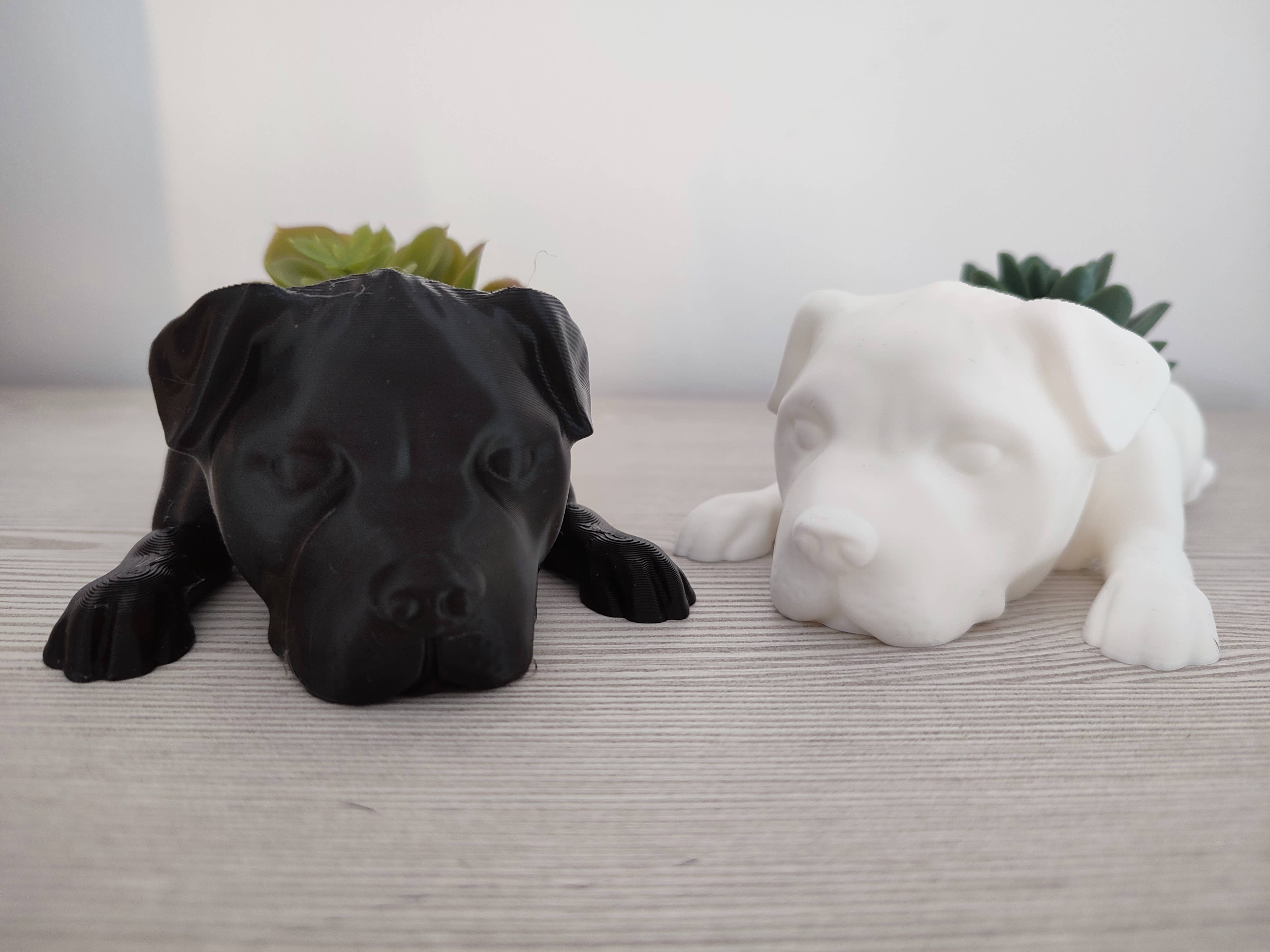 3DROOTS - Vente Pot - Pot planteur en forme de chiot - Décoration maison5