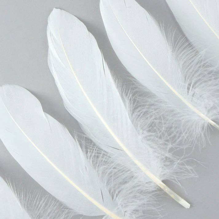 Zucker Feather Products - Wholesale Feathers - Goose Pallet Feathers 6-8" - 12 pc - White3
