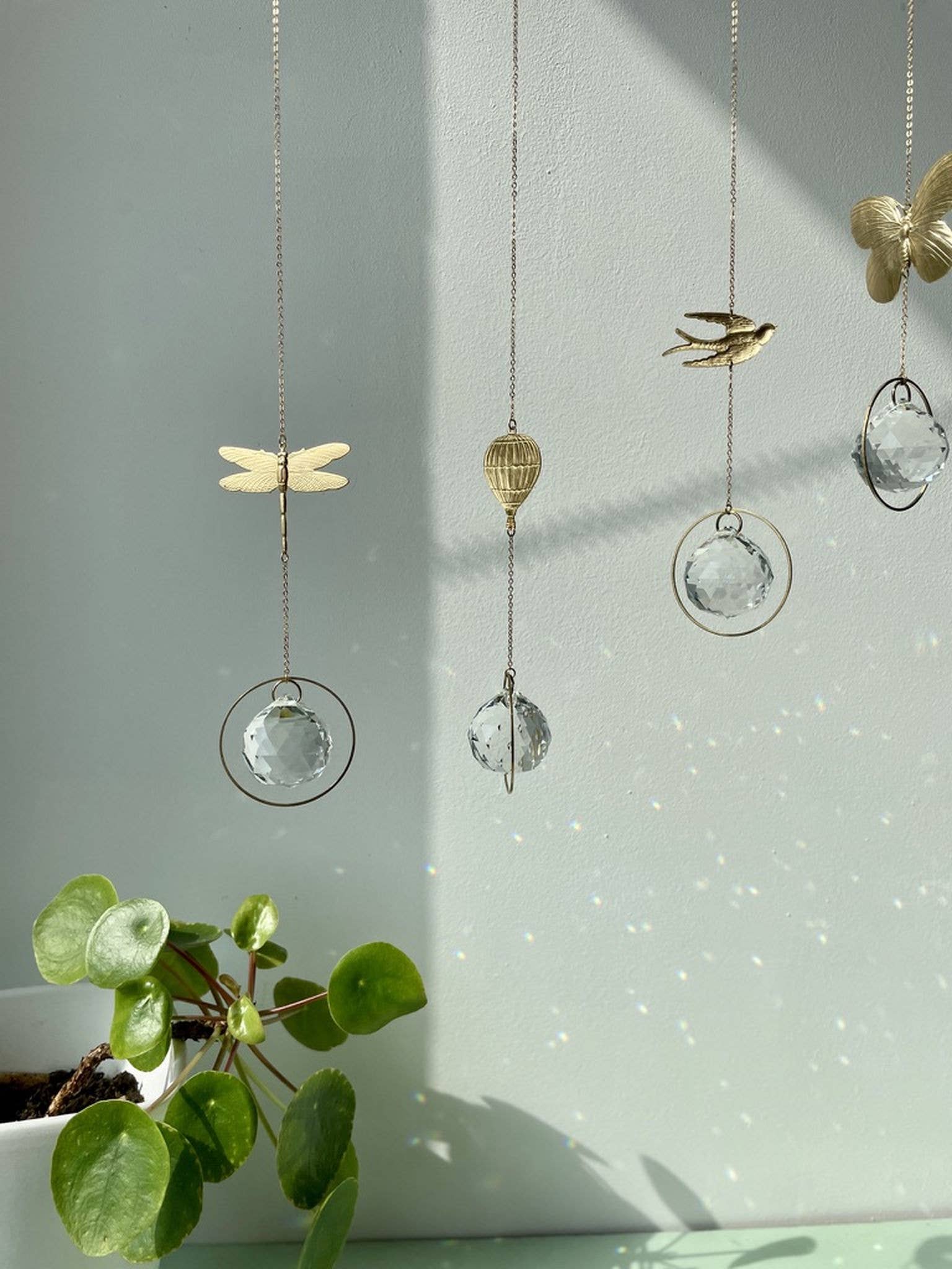 von Lani = Jewellry + Suncatchers - Wholesale Suncatcher - Sun catcher dragonfly, light catcher, sun crystal, prism6