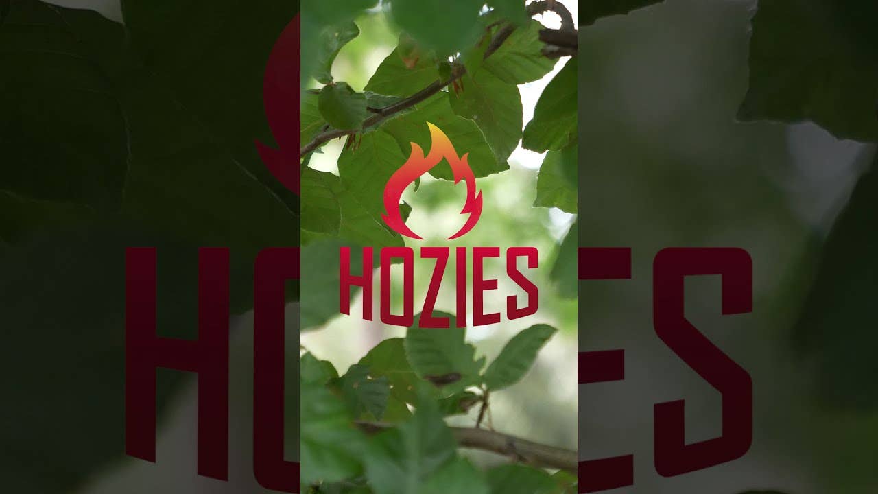 Hofman Animal Care - Vendita all'ingrosso Peluche - Cani - Hozies Billy Bengal Medio1