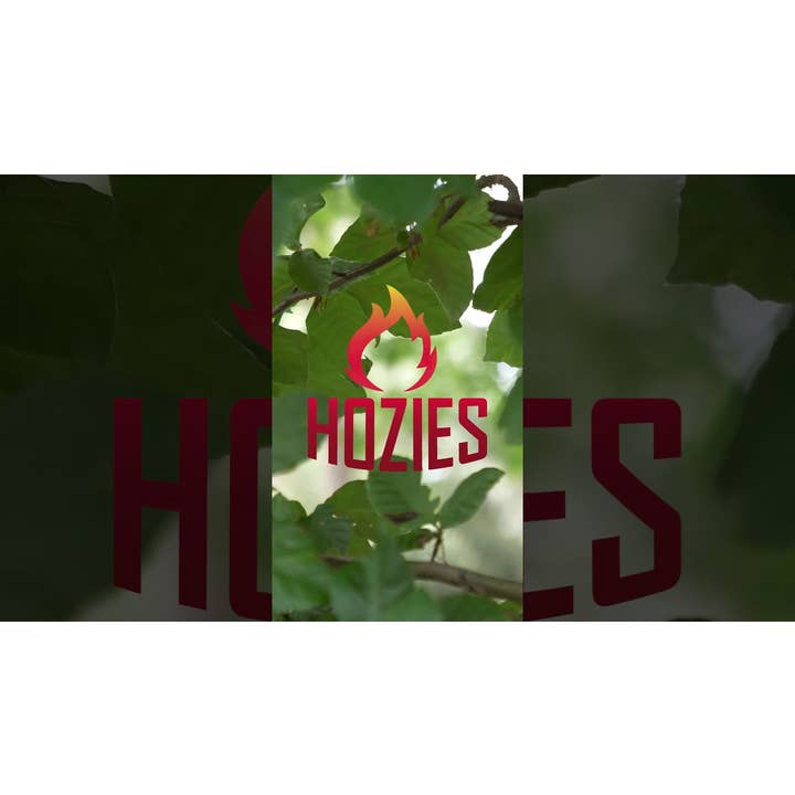 Hofman Animal Care - Wholesale Pet Plush Toy - Dog - Hozies Trixy Trumpet Small1