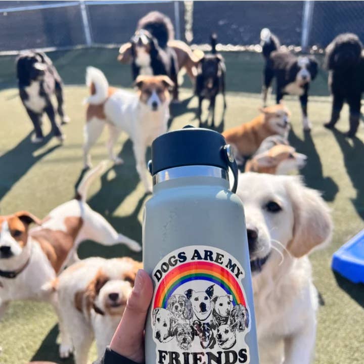 Astral Weekend - Wholesale Sticker - Dogs Are My Friends STICKER 3 Inch2